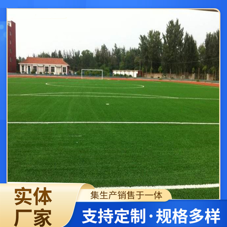 长沙市塑胶跑道人造草坪 - 厂家